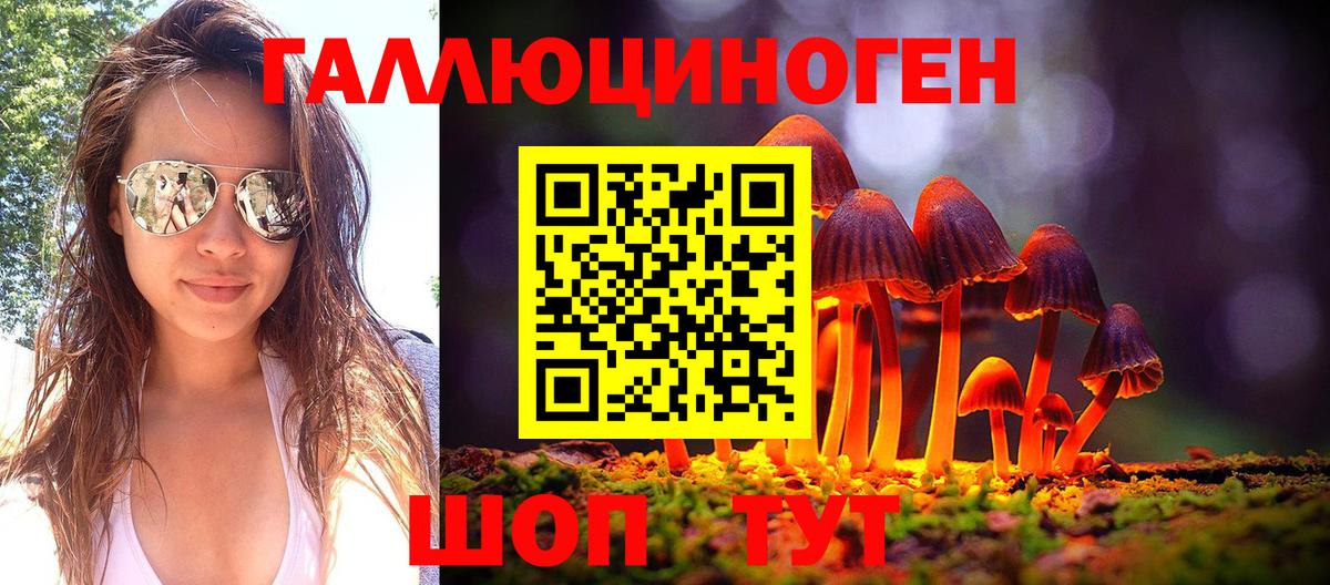 Галлюциногенные грибы Psilocybe  Вход с VPN  купить наркотик  Ногинск  Галлюциногенные грибы прущие грибы 