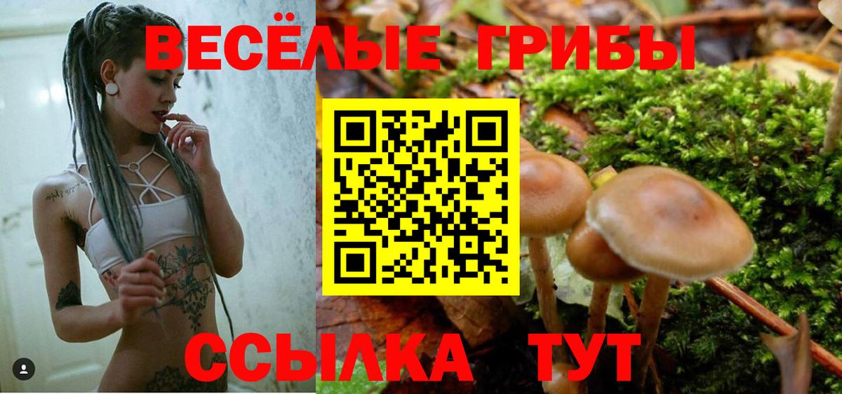 Псилоцибиновые грибы Psilocybe Ногинск